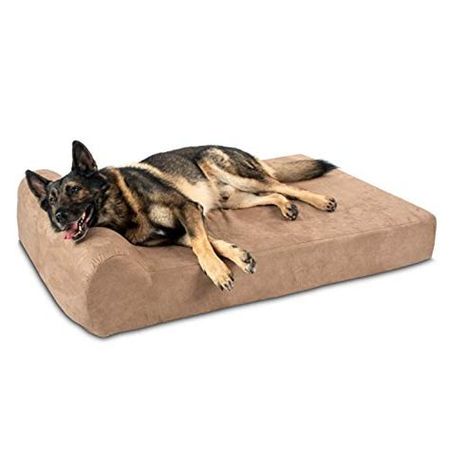 dog in dog bed image at DuckDuckGo