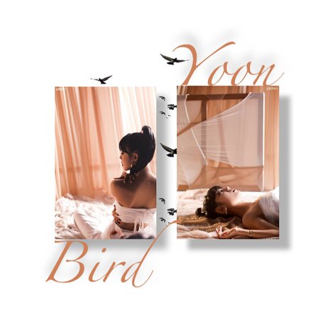 yoon bird