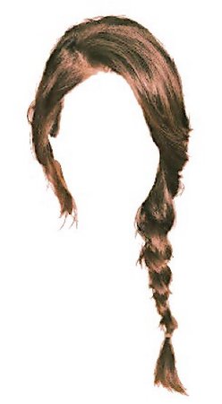 brown braid
