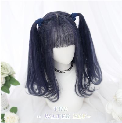 Harajuku Double Ponytail Highlights Dark Blue Wig