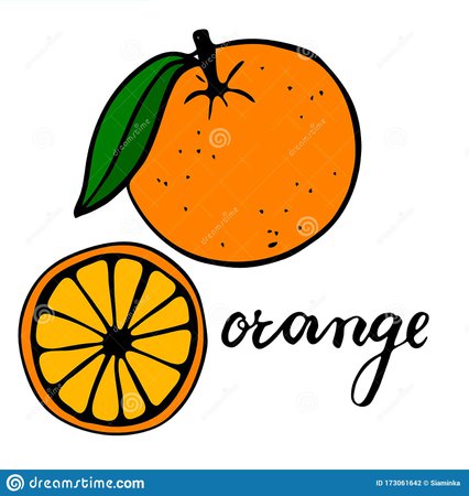 orange word clipart - Google Search