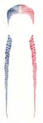 Half blue half pink dutch braids (heavenscent edit)