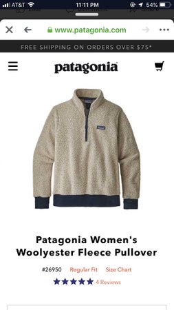 Patagonia Pullover $135