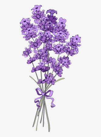 20-205036_floral-vintage-background-with-lavender-lavender-flower-background.png (820×1104)