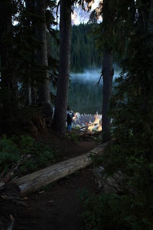 FOREST CAMP NIGHT lake