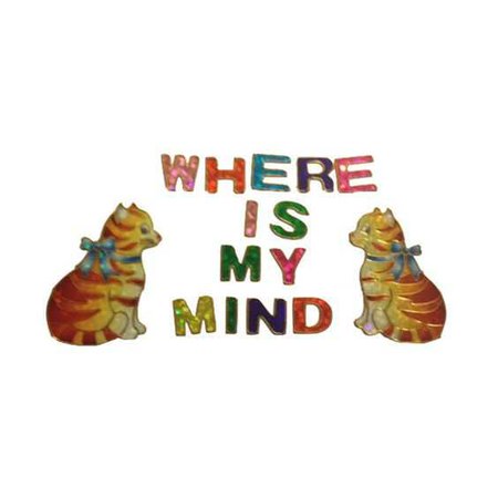 WHERE IS MY MIND