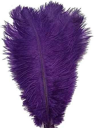 Amazon.com: CENFRY 10pcs Ostrich Feathers 10-12inch Plumes for Wedding Centerpieces Home Decoration (Pink) : Arts, Crafts & Sewing