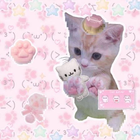 pink kitty cat