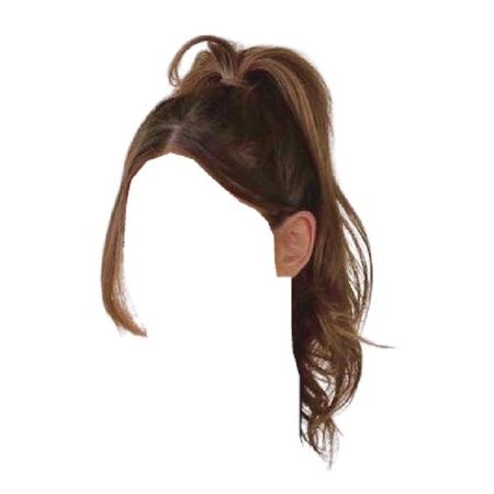 brown hair high ponytail long bangs