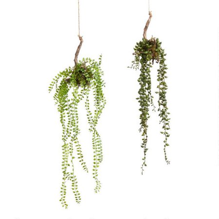 Faux Succulents On Twigs Hanging Decor | World Market