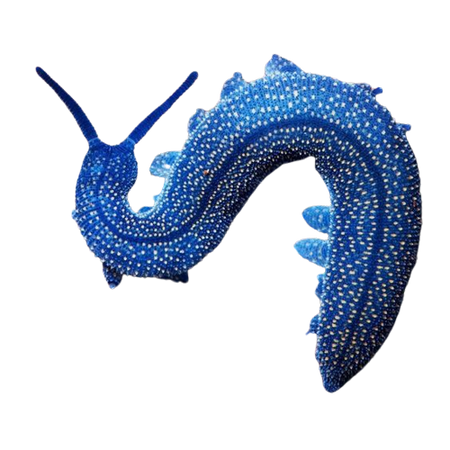 Blue velvet worm