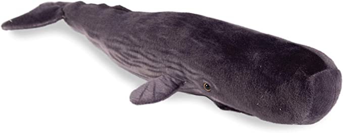 Amazon.com: Real Planet Sperm Whale 32.5" Inch Realistic Soft Plush: Toys & Games