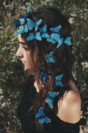 Blue Butterflies Brown Hair