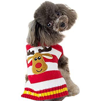 Amazon.com : NACOCO Dog Sweater Pet Christmas Elk Bells Sweaters Halloween Reindeer for Small Dog and Cat (XS, Red) : Gateway