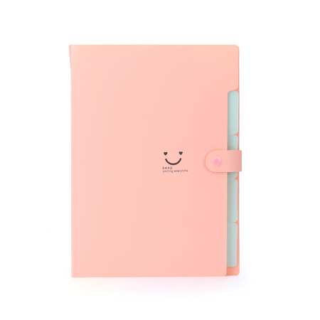 pink folder