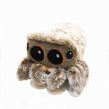 spider stuffed animal - Google Search
