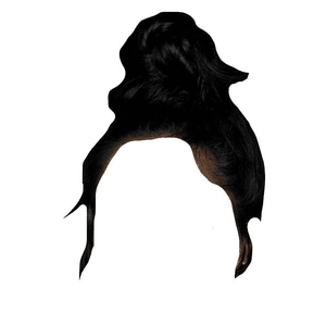 Black Bun Hair PNG