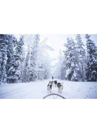 husky ride Finland