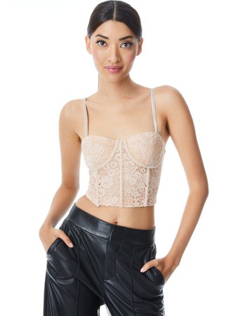Lorette Lace Bustier Crop Top In Almond | Alice And Olivia