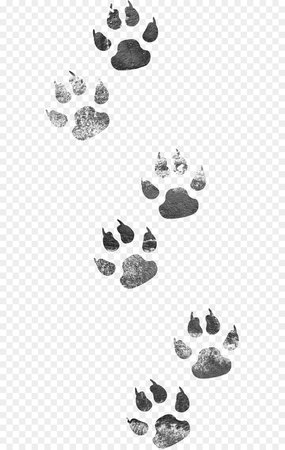 Cat And Dog Cartoon png download - 611*1416 - Free Transparent Dog png Download. - CleanPNG / KissPNG
