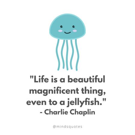 Jellyfish Quote