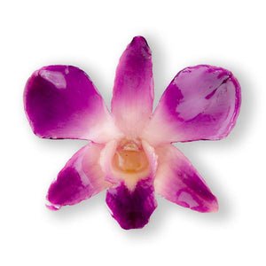 Purple White Dendrobium Orchid Hairclip. – Hanami Real Flower Jewelry