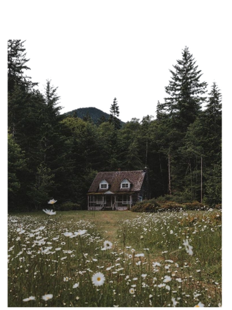 dark cottagecore house forest background