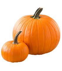 transparent pumpkin - Google Search