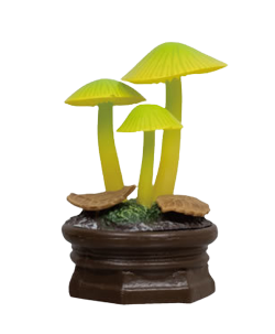 mushroom gasha