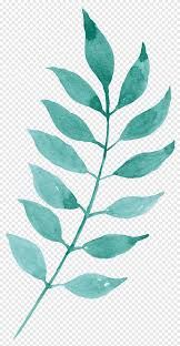 watercolor teal leaves - Google Search