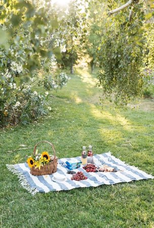 picnic date