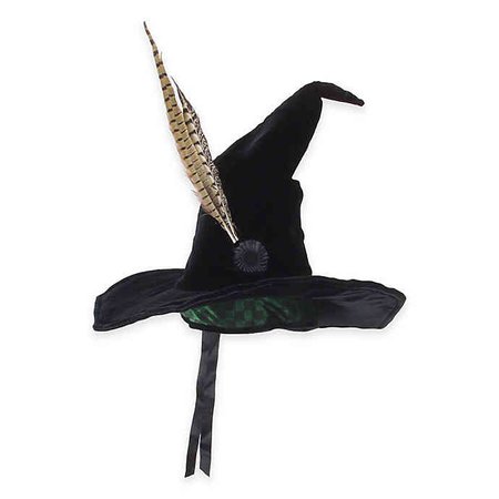 Harry Potter Headmistress hat