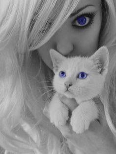 Black & White Model Blue Eyes White Cat