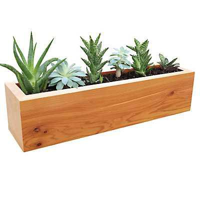 Gronomics 4-inch x 4-inch x 16-inch Rectangular Succulent Planter | The Home Depot Canada