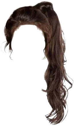polyvore png hair ponytail - Pesquisa Google