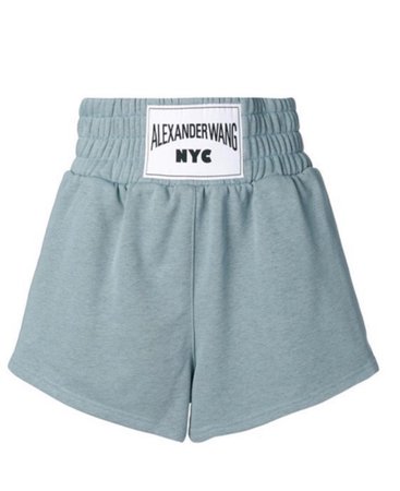 Alexander wang terry shorts