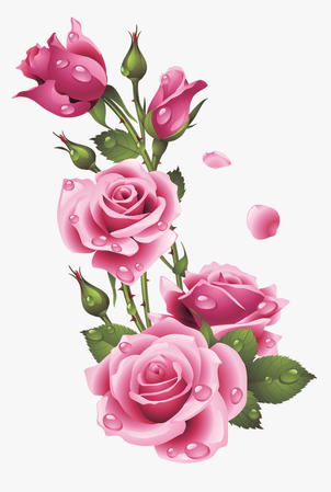 262-2622376_rue-category-frame-rose-flower-png-transparent.png (860×1280)