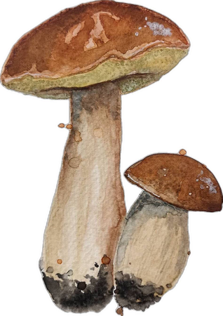 mushroom painting cottagecore goblincore vintage