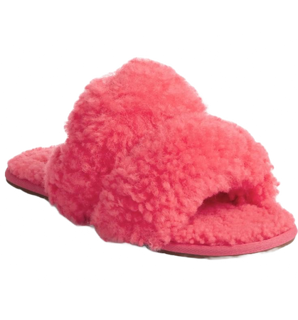 @darkcalista pink coral Teddy slippers png