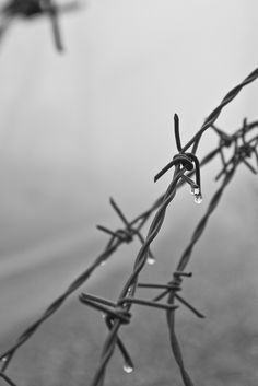 Barbed Wire Aesthetic