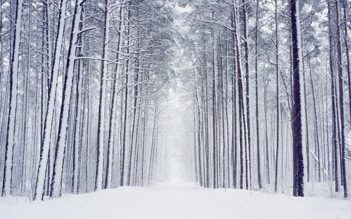 22 Winter Pictures: View Beautiful Images of Winter Scenes | Travel + Leisure