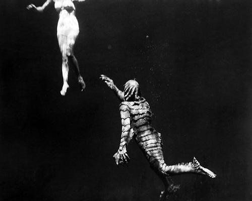 1955 - Revenge of the Creature - stills