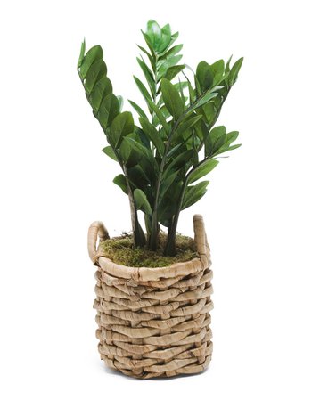 Faux Zz Plant In Chunky Basket - Living Room - T.J.Maxx