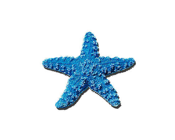 sea-star-medium-blue-t-al-powell-photography-usa-transparent.png (600×480)