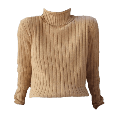 Beige Turtle Neck Sweater (png)