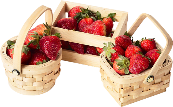 Strawberry basket