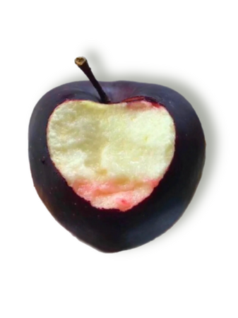 black apples bite food fruit