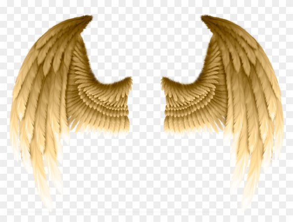 gold wings aesthetic