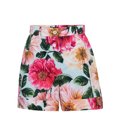 Dolce & Gabbana - Floral cotton shorts | Mytheresa