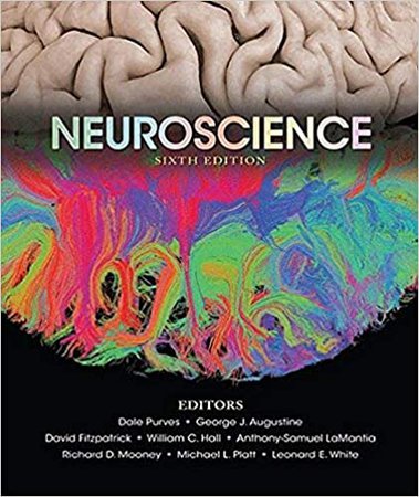 Neuroscience textbook
